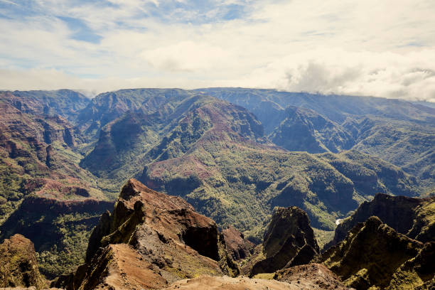 istock Waimea Canyon in Kauai Hawaii 950520102