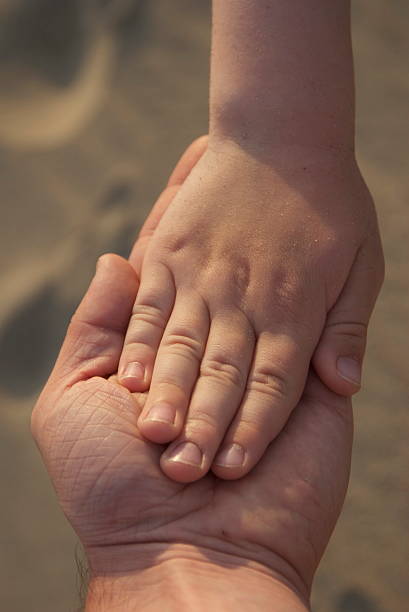 istock Father and child holding hands, sunset, beach 95052143