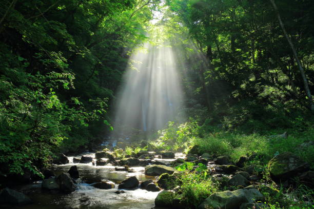 istock Kameda immobile waterfall in the summer 950522426