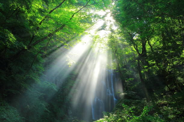 istock Kameda immobile waterfall in the summer 950522906