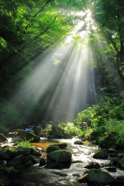 istock Kameda immobile waterfall in the summer 950523508