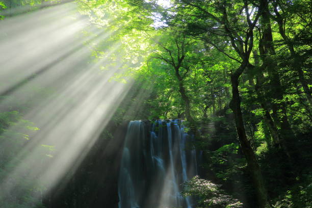 istock Kameda immobile waterfall in the summer 950527760