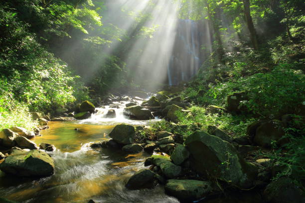 istock Kameda immobile waterfall in the summer 950540200