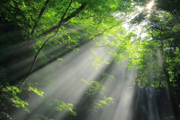 istock Kameda immobile waterfall in the summer 950540318