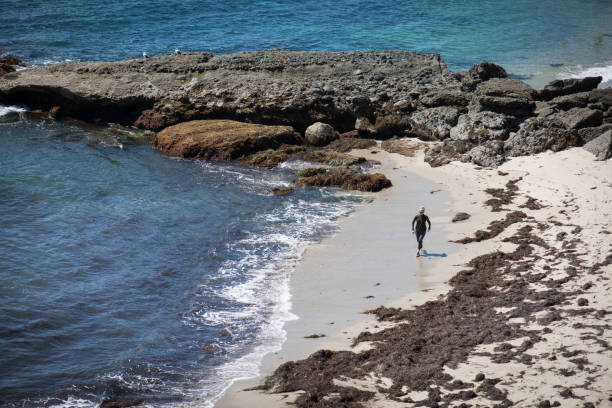 Female jogger in her fifties jogging on the beach at an exotic resort.