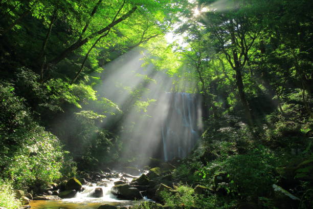 istock Kameda immobile waterfall in the summer 950541628