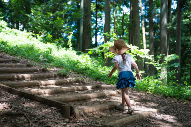 istock Little girl walking in the forest 950543330