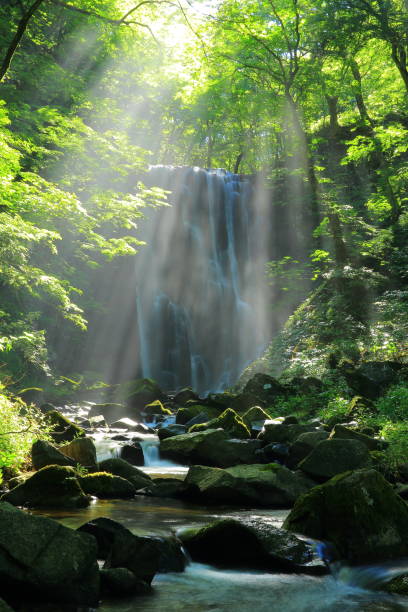 istock Kameda immobile waterfall in the summer 950543444