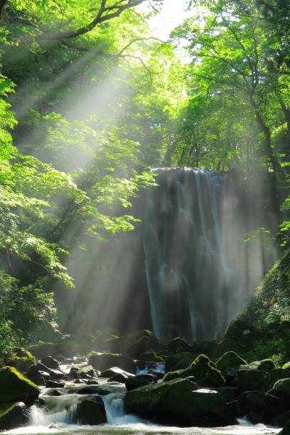 istock Kameda immobile waterfall in the summer 950549428