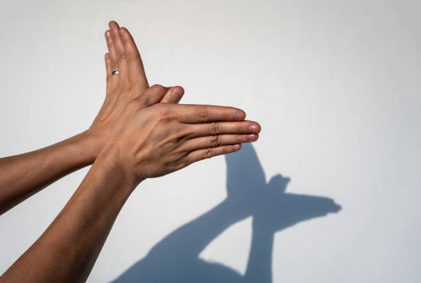 Woman hands creating silhouette shadow of animal on white wall background. Hand shadow of bird or butterfly Woman hands creating silhouette shadow of animal on white wall background. Hand shadow of bird or butterfly mime artist stock pictures, royalty-free photos & images