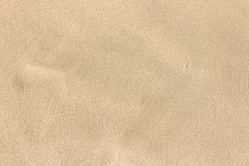 clear wet sands beach texture background