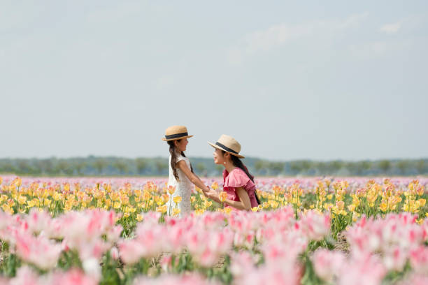 madre e figlia giocano nel campo dei tulipani - spring tulip field flower foto e immagini stock