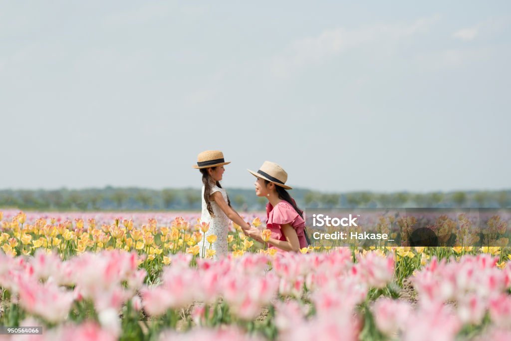 Mother and daughter playing in the tulip field Mother Stock Photo