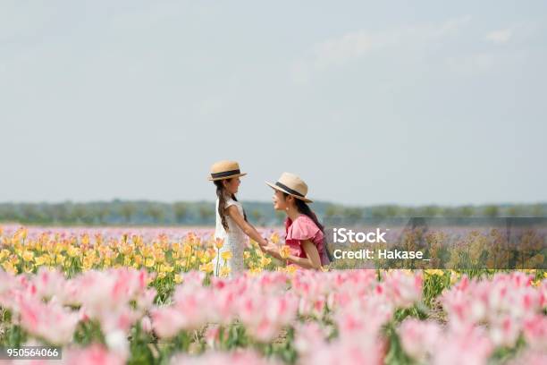 Mother And Daughter Playing In The Tulip Field Stock Photo - Download Image Now - Mother, Flower, Springtime