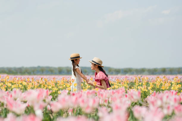 matka i córka bawią się w polu tulipanów - child spring family little girls zdjęcia i obrazy z banku zdjęć