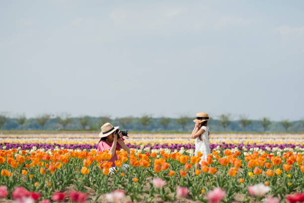 istock Mother and daughter taking pictures 950564112