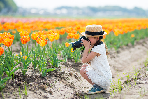 Little girl taking pictures of tulips