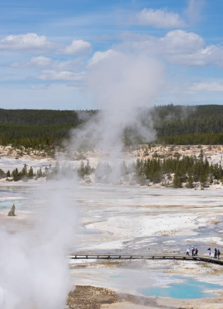 istock Norris Geyser Basin from Above 950569658