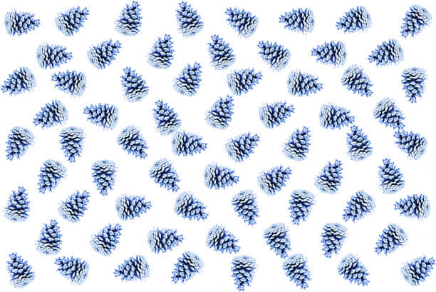 istock pattern flora cone color indigo many icons white background repetition base wrapping festive paper gift card 950573574