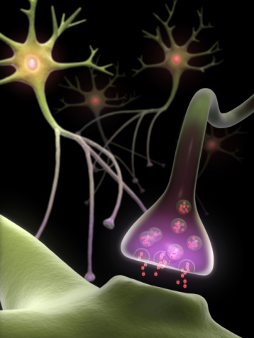 Sinapsis y neuronas photo