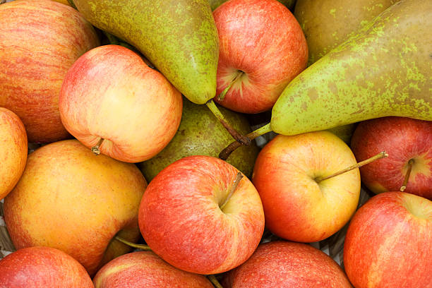 Apples and Pears stock photo