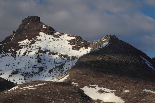 istock Trees flattened by eruption Mount St. Helens National Volcanic Monument, Washington State 950581862