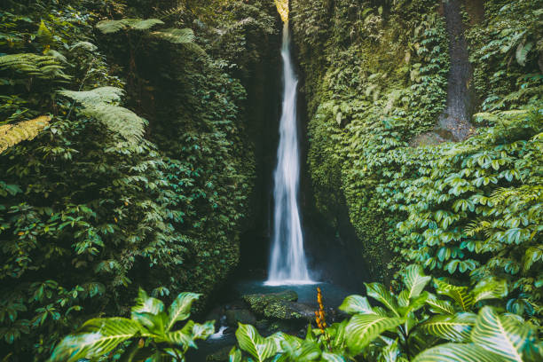 istock Beautiful waterfall and tropical plants in Bali, Indonesia 950581934