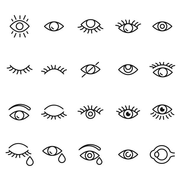 ilustrações de stock, clip art, desenhos animados e ícones de eye icon set - eye