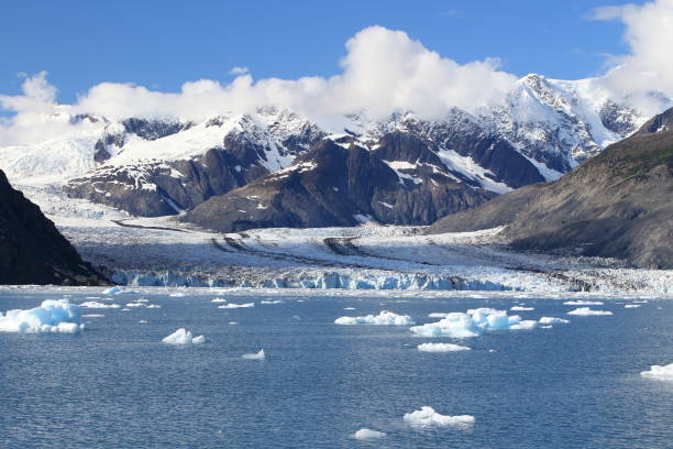 istock Columbia Glacier, Columbia Bay, Valdez, Alaska 950587480