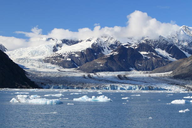 istock Columbia Glacier, Columbia Bay, Valdez, Alaska 950587544