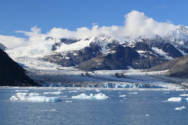 lodowiec columbia, zatoka columbia, valdez, alaska - alaska cruise iceberg water zdjęcia i obrazy z banku zdjęć