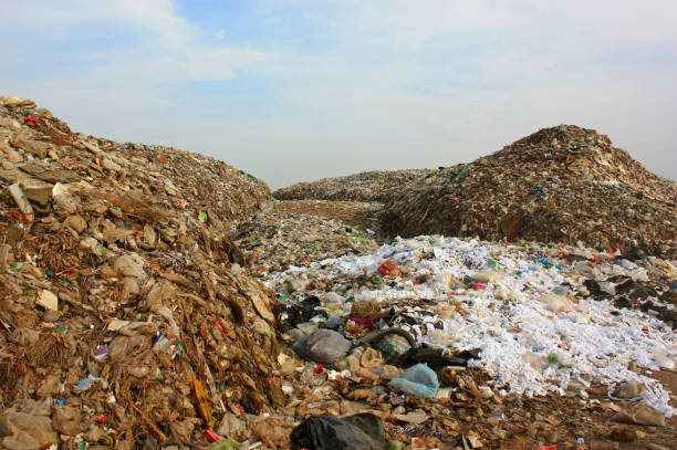istock Municipal garbage dump in landfill. 950587692