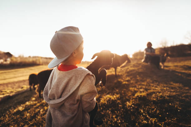 istock Life on a farm 950593332