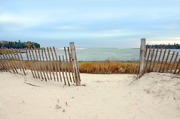 USA Massachusetts, Cape Cod. beach scene near Provinetown, sand fence