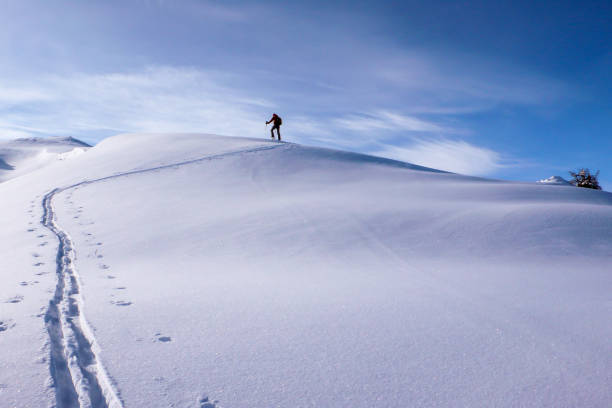 istock a backcountry skier hiking along a mountain ridge 950593822