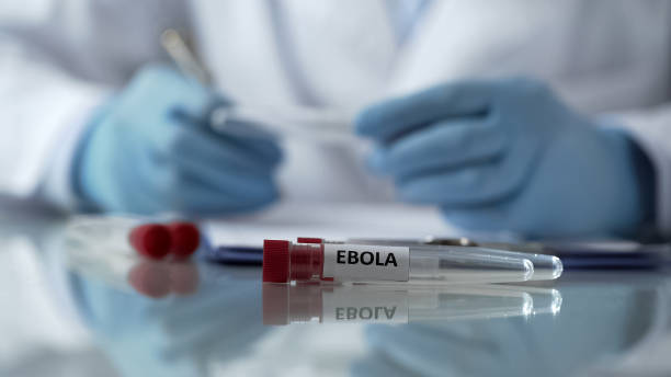 Worker of center for disease control describing effects of ebola virus mutation Worker of center for disease control describing effects of ebola virus mutation central africa stock pictures, royalty-free photos & images