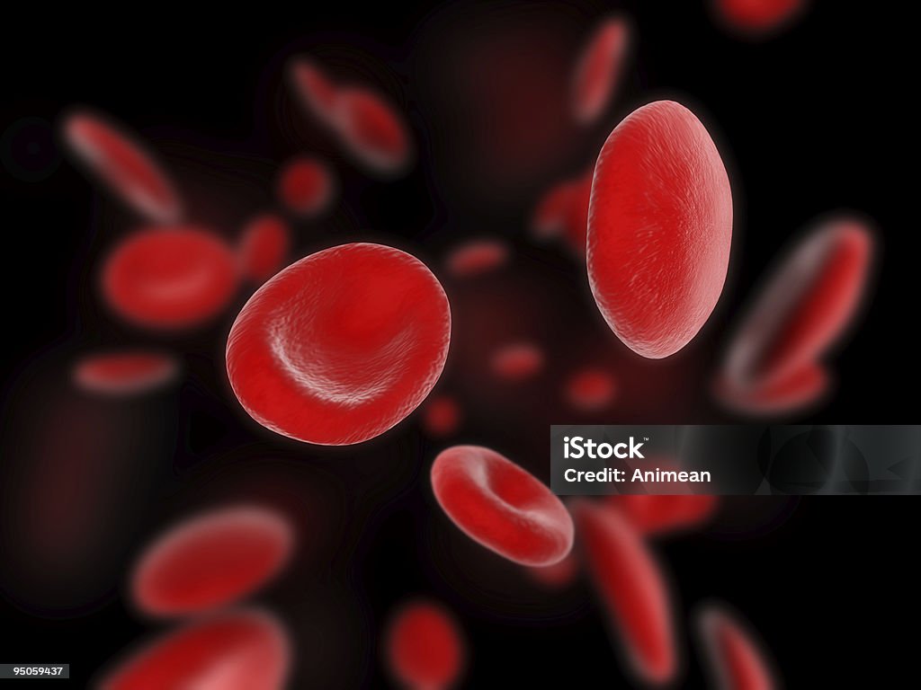 Los glóbulos rojos - Foto de stock de Biología libre de derechos