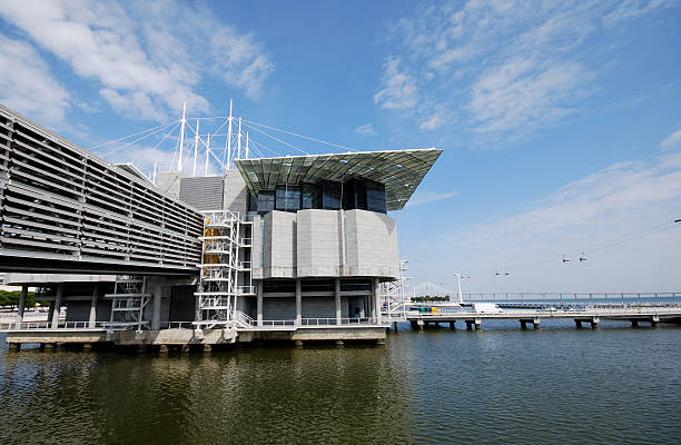 istock famous oceanarium in Lisboa(Portugal) 95059782