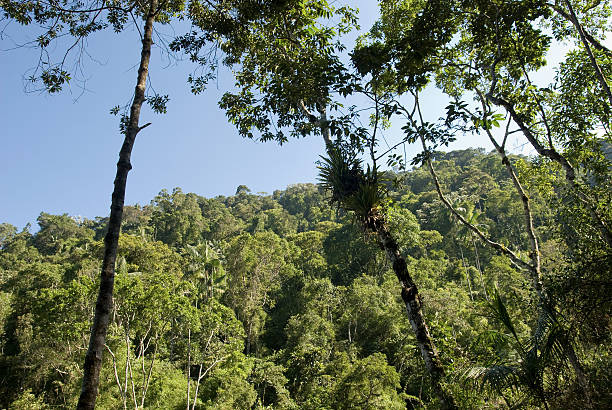 istock Itatiaia National Park 95060147