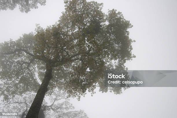 Tooth Stock Photo - Download Image Now - Backgrounds, Blurred Motion, Cloud - Sky