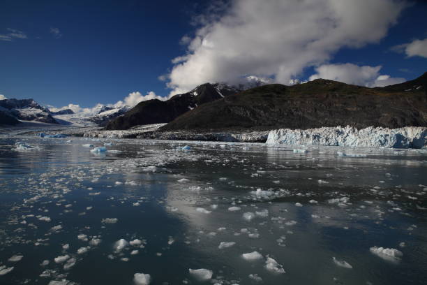 istock Columbia Glacier, Columbia Bay, Valdez, Alaska 950607766