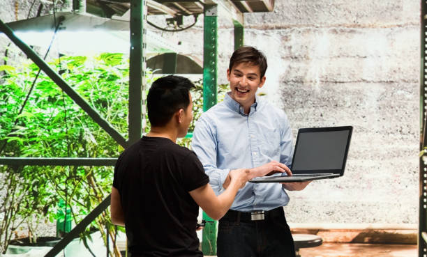 istock Two people talking about the marijuana business 950608040