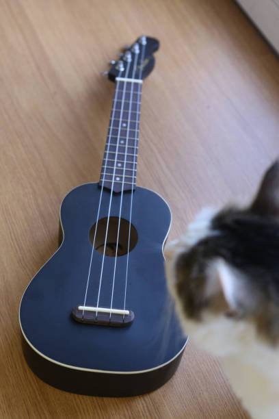 istock ululele guitar close up photo 950608596