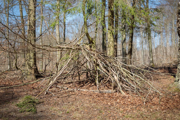 istock Childrens hut in a forest in the early spring 950609150