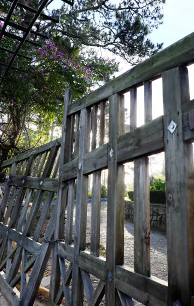 Ancient  wooden gate of old villa at Da Lat city, Vietnam, vintage gateway under flower trellis at morning