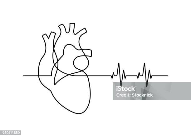 Line30 Vecteurs libres de droits et plus d'images vectorielles de Rythme cardiaque - Rythme cardiaque, Ligne continue, Coeur humain