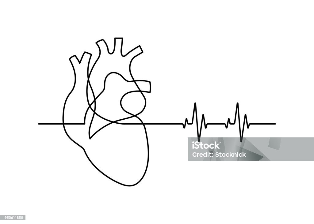 line30 Continuous line drawing of heart with heartbeat on white background. Vector illustration Electrocardiography stock vector