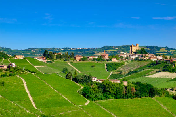 istock Vineyards in the Langhe, a hilly area mostly based on vine cultivation and well known for the production of Barolo wine. Piedmont, Italy 950618696