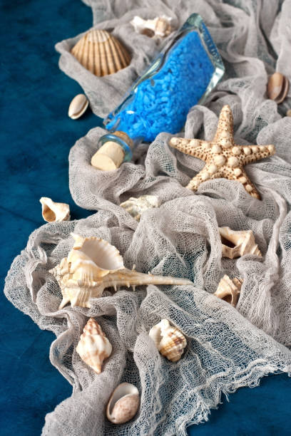 istock Nautical background  of different seashells and  starfish 950618884