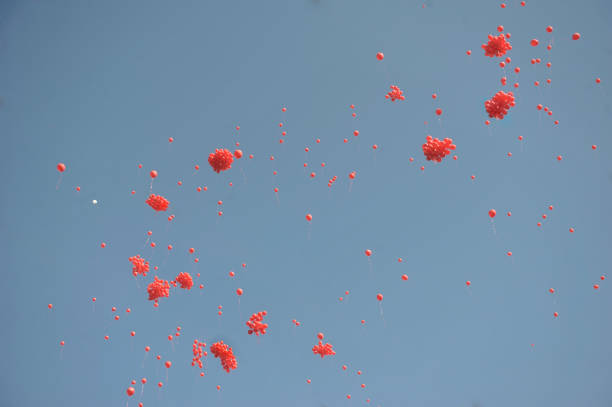 istock Red balloons in the sky 950619286